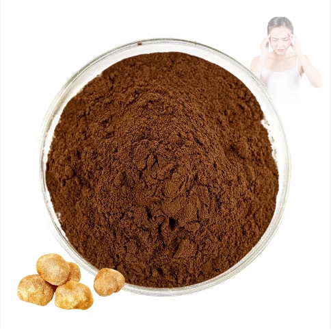 Venta al por mayor Extracto Natural de Melena de Le&oacute;n Polvo de Hongo Melena de Le&oacute;n Hongos Polvo de Melena de Le&oacute;n